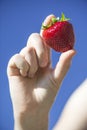Holding between womanÃ¢â¬â¢s fingers a ripe strawberry with blue sk Royalty Free Stock Photo